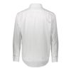 Immagine di LAVIS - BASIC CAMICIA ML COLLO CLASSICO