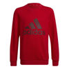Immagine di SWEAT BL SWT RED-RED
