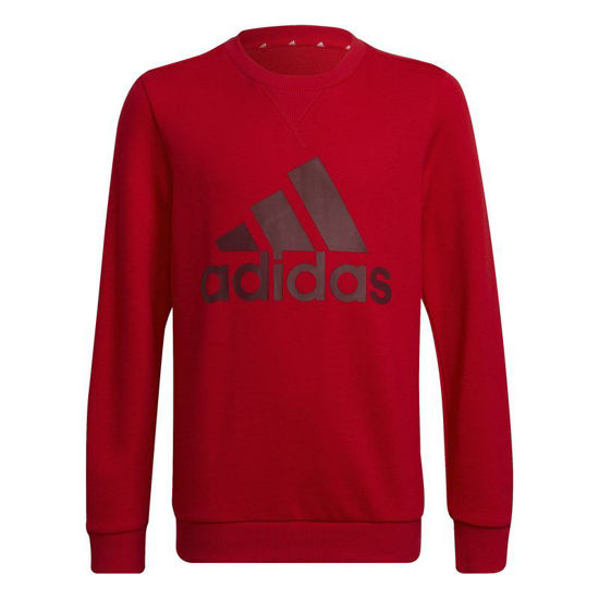 Immagine di SWEAT BL SWT RED-RED