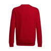 Immagine di SWEAT BL SWT RED-RED