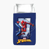 Immagine di SPIDERMAN - Trapunta una piazza, CM 170X250