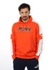 Immagine di SWEAT C/CAPP.MODERN SPORTS HD TR RED