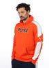 Immagine di SWEAT C/CAPP.MODERN SPORTS HD TR RED