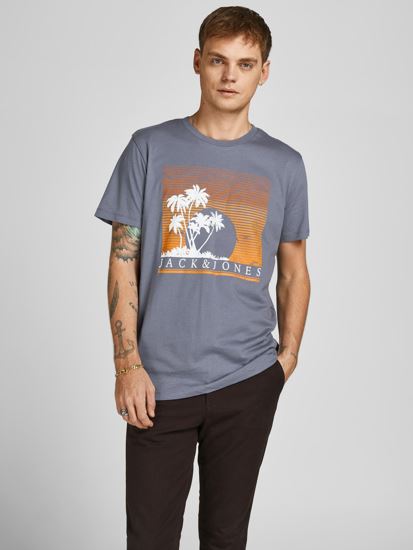 Immagine di JACK&JONES - TSHIRT MEZZA MANICA JJPALM TEE