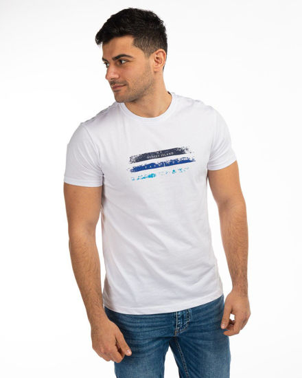 Immagine di YELLOW DOG - TSHIRT GRIGIA SKATE PUNKS 100% COTONE