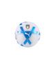 Immagine di PALLONE ITALIA FIGC CAGE BALL MINI WH-RY