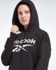 Immagine di SWEAT C/CAPP.RI BL FLEECE HD BLACK-WHITE