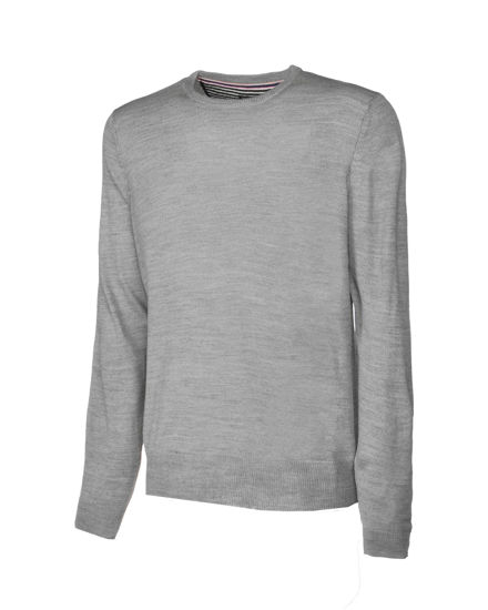 Immagine di BRAVE SOUL - Maglia grigia da uomo a girocollo