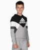 Immagine di ADIDAS - Felpa con cappuccio Colorblock Fleece - HA4007