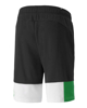 Immagine di PUMA - Pantalone corto da uomo nero e bianco con dettagli verdi