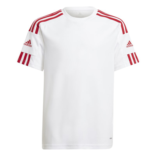 Immagine di ADIDAS-MAGLIA SQUADRA 21-GN5741