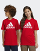 Immagine di ADIDAS-T-SHIRT ESSENTIALS BIG LOGO COTTON-IC6856