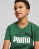 Immagine di PUMA - T shirt da bambino verde in cotone con logo bianco e nero