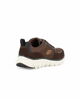 Immagine di SKECHERS FLEX ADVANTAGE 5.0 - Sneachers da uomo marrone