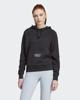 Immagine di SWEAT C/CAPP.BLUV Q3 FT HD BLACK