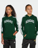 Immagine di SWEAT C/CAPP.COLLEG HD GREEN