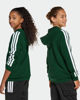 Immagine di SWEAT C/CAPP.COLLEG HD GREEN