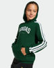 Immagine di SWEAT C/CAPP.COLLEG HD GREEN