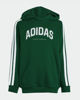 Immagine di SWEAT C/CAPP.COLLEG HD GREEN