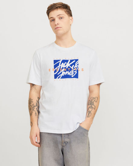 Immagine di TSHIRT MANICA CORTA COLTON