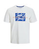Immagine di TSHIRT MANICA CORTA COLTON