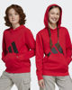 Immagine di SWEAT C/CAPP.BL FT HD 280 RED