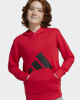 Immagine di SWEAT C/CAPP.BL FT HD 280 RED