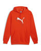 Immagine di PUMA - FELPA LOGO LAB CAT ARANCIONE CON CAPPUCCIO DA UOMO 683799-18