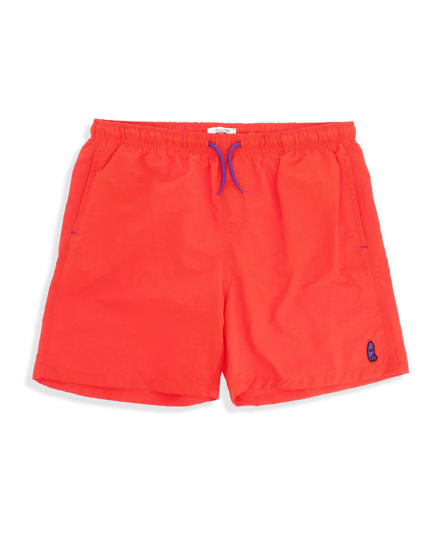 Immagine di BOXER MARE MENELAO ARANCIO