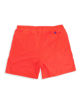 Immagine di BOXER MARE MENELAO ARANCIO