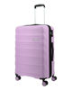 Immagine di TROLLEY ABS 4 RUOTE TSA