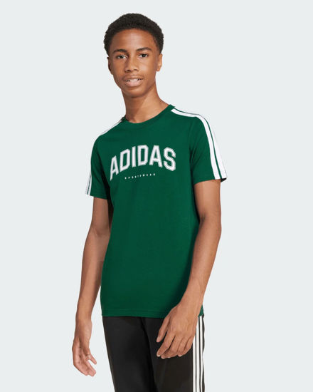 Immagine di T-SHIRT MM COLLEG TEE GREEN