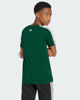 Immagine di T-SHIRT MM COLLEG TEE GREEN