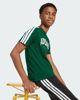 Immagine di T-SHIRT MM COLLEG TEE GREEN