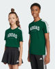 Immagine di T-SHIRT MM COLLEG TEE GREEN