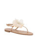 Immagine di GLOBO ROSA - Sandalo infradito beige con fiore