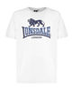 Immagine di UOMO TSHIRT MANICA CORTA LOGO GRANDE