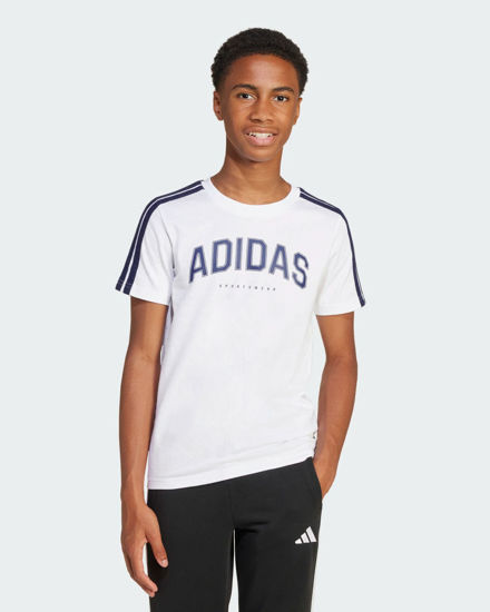 Immagine di T-SHIRT MM COLLEG TEE WHITE