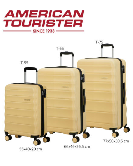 Immagine di TROLLEY ABS 4 RUOTE TSA