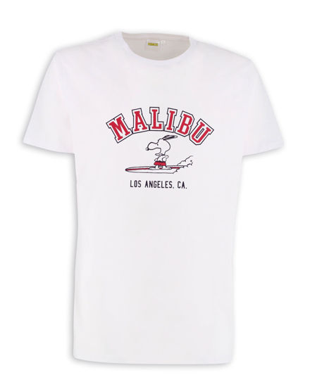 Immagine di UOMO TSHIRT MANICA CORTA