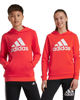 Immagine di ADIDAS - FELPA CON CAPPUCCIO BL HOODIE JUNIOR ROSSA E BIANCA - IX9531