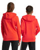 Immagine di ADIDAS - FELPA CON CAPPUCCIO BL HOODIE JUNIOR ROSSA E BIANCA - IX9531