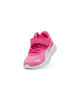 Immagine di SCARPA FLEXFOCUS MODERN AC+ TD 4-9 PINK