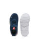 Immagine di SCARPA FLEXFOCUS LITE MODERN PS 10-2%ROY