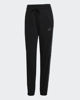 Immagine di PANTALONE ANML 3S PNT BLACK