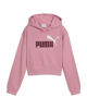 Immagine di SWEAT C/CAPP.ESS 2 COLOR NO.1 LOGO PINK