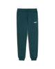 Immagine di PANTALONE ESS 2 COLOR NO.1 LOGO FL GREEN