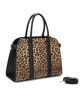 Immagine di BORSA
