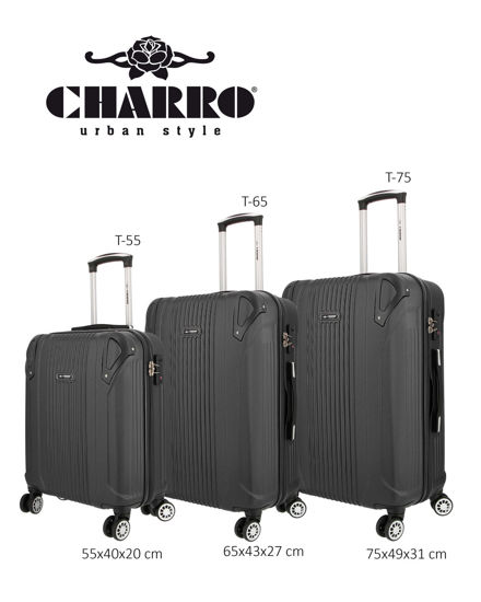 Immagine di TROLLEY ABS 4RUOTE