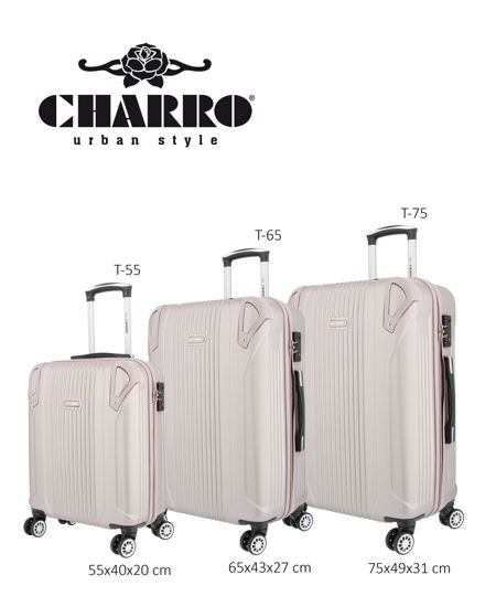 Immagine di CHARRO - TROLLEY GRIGIO IN ABS 4 RUOTE